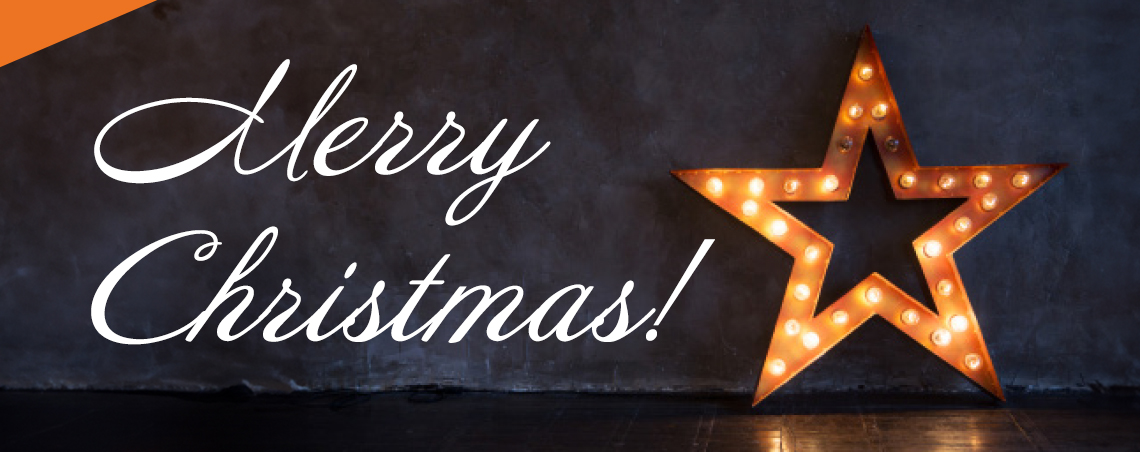 Tecnamic wishes you a Merry Christmas!